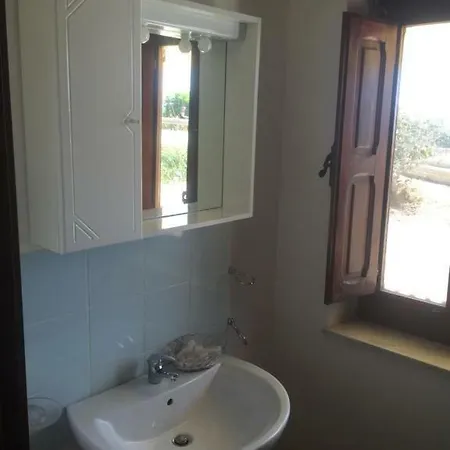 Holiday Romana Homestay